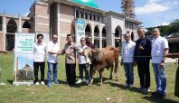 Sinar Mas Land Salurkan Hewan Kurban Iduladha 1447 H